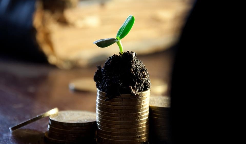 "экономика и право"