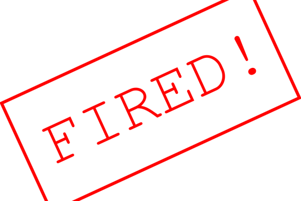 "социально-ориентированное государство"